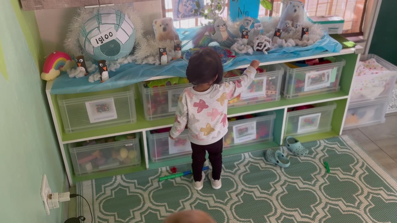 Child arranging Arctic-themed toys on the classroom shelves